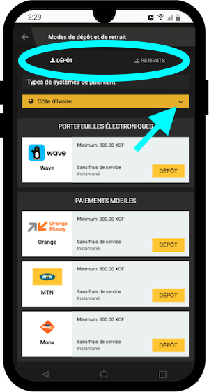 moyens de paiement disponibles sur 1xbet afropari