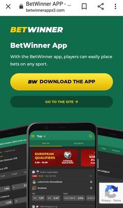 Betwinner mobile app