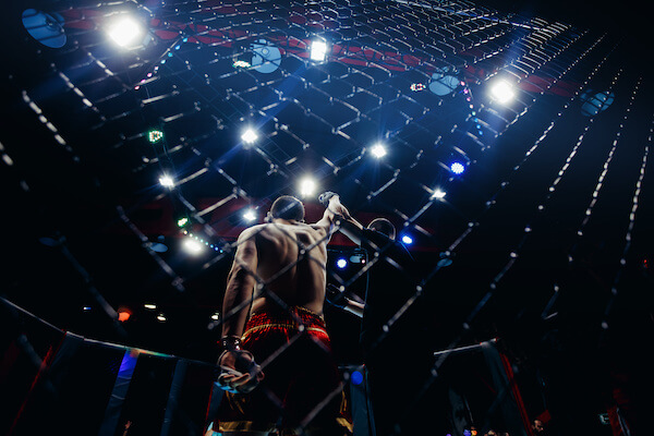 UFC Adobe Stock
